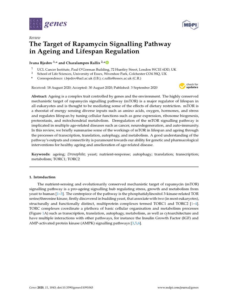 The Target of Rapamycin Signalling Pathway in Ageing and Lifespan ...