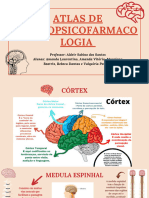 Atlas de Neuropsicofarmacologia