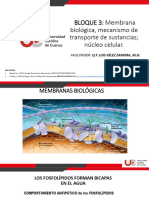 B3 Diapositivas Membrana Plasmática