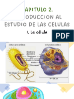 Tema 2. Introduccion Al Estudio de La Celula