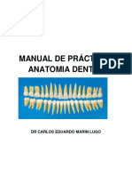 MANUAL DE PRÁCTICAS ANATOMIA DENTAL DR Carlos Marin PDF