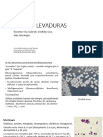 LEVADURAS