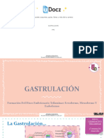 Gastrulacion 113432 Downloadable 3906398