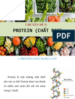 Chuyên Đề 5. Protein (Chất Đạm)