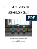 Informe de Laboratorio Aislamiento