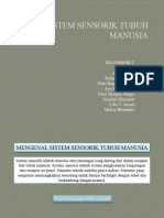 Sistem Sensorik Tubuh Manusia - Kelompok 2 Anfisman