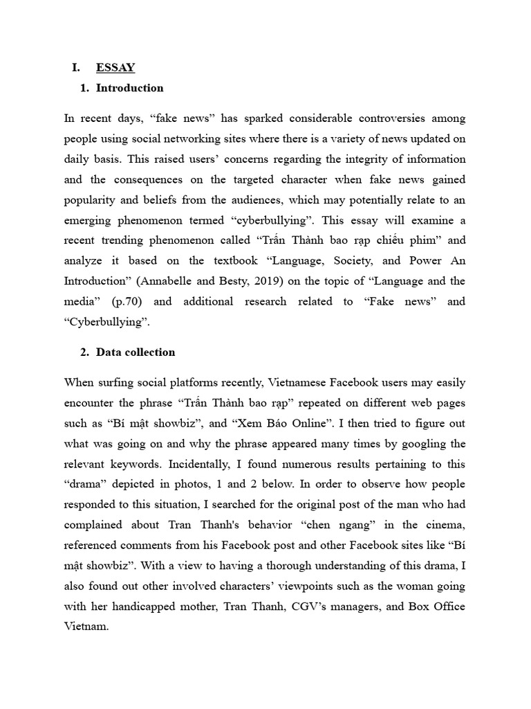 Language, Culture, and Identity PDF Social Media Popular Culture