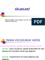 2 Vücut Bölgeleri̇ 2020 Uzem