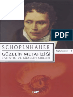 arthur-schopenhauer-guzelin-metafizigi