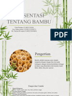 Bamboo Backgrounds Newsletter by Slidesgo