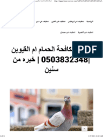 شركة مكافحة الحمام ام القيوين 0503832348 خبره من سنين - واحة الجمال 0503832348