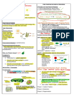 Bio Phto and Cellular