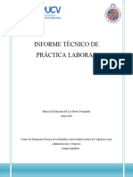 INFORME TECNICO DE PRÁCTICA LABORAL - Patricia de Los Reyes (Reparado)