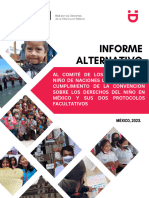 MEXICO - Informe Alternativo REDIM PDF