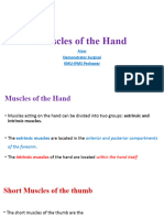 Muscles of The Hand P