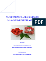 Plan Agronomico de Las Variedades Frambuesa MALU ALEXA Y MAYATecnico