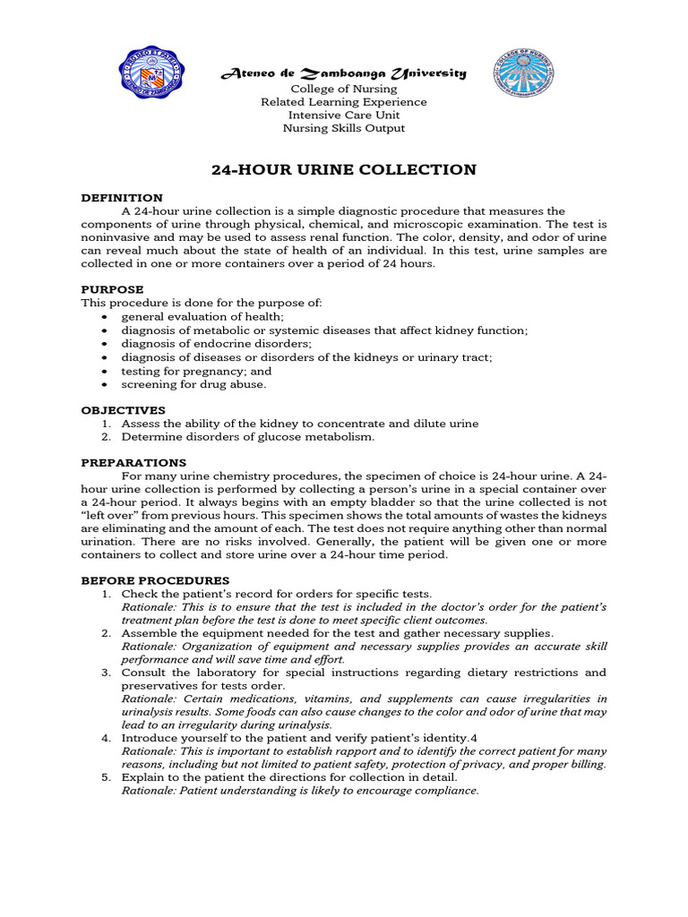 24-Hour Urine Collection Instructions | PDF | Kidney | Urine
