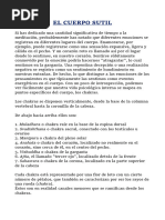 PDF Documento