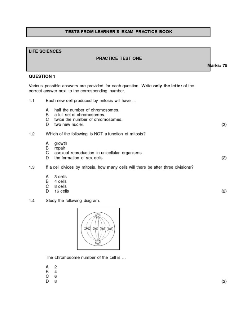 Grade 10 Life Sciences Practice Tests | PDF | Tissue (Biology) | Digestion
