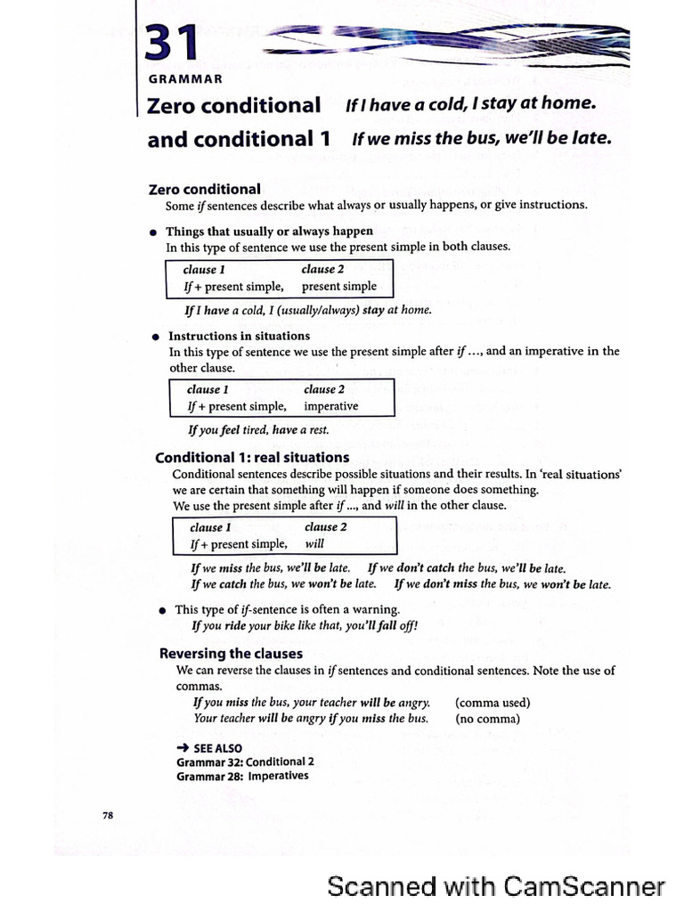 Zero Conditional and Conditional 1 | PDF