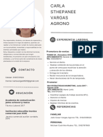 Curriculum Vitae Profesional Mujer Con Iconos Moderno Beige y Blanco