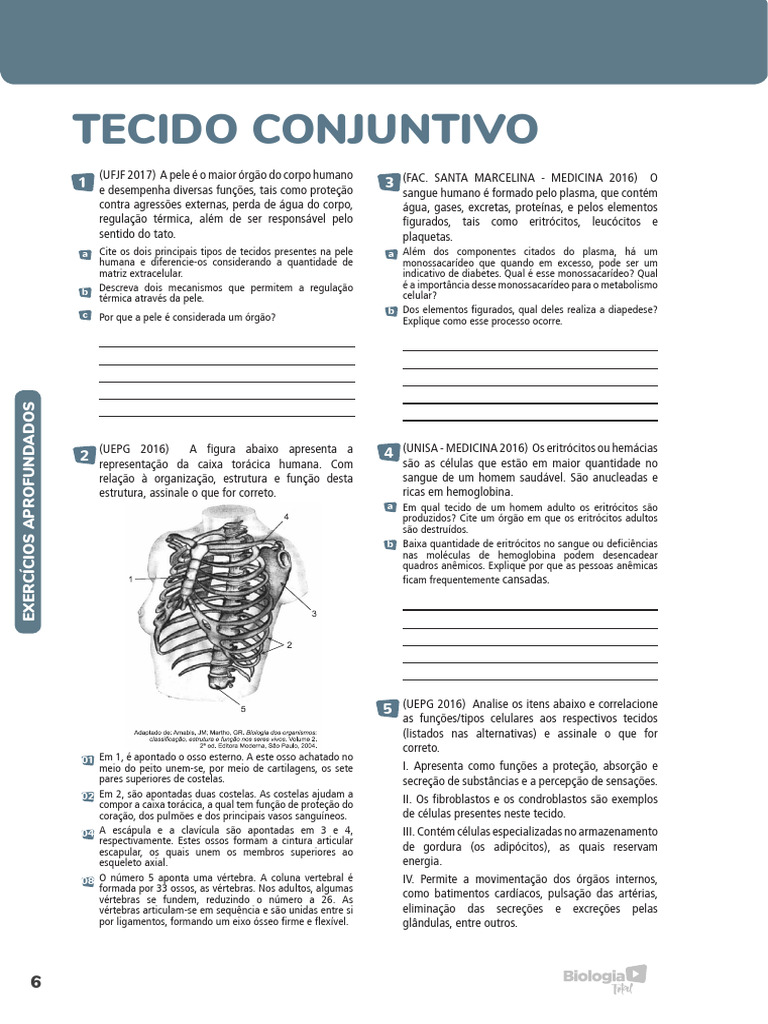 Exercícios sobre Tecido Conjuntivo | PDF | Osso | Sangue