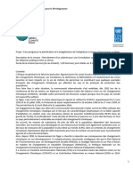 TDR - RDP & Renf Capacit Climat - PNUD Niger - Consultants Nationaux