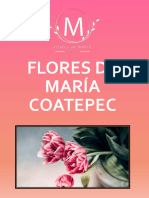 Cajas 14 (Flores de Maria) - Comprimido