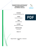 Informe Maria Quiroz Vi Ciclo