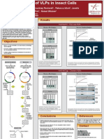 VLP Production