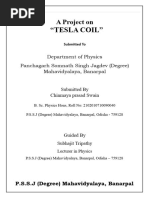 Tesla Coil Assignment