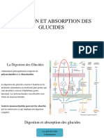 Cours 03 - Digestion Et Absorption Des Glucides