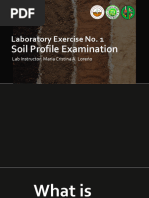 Exercise No. 1 Soil Profile Examination