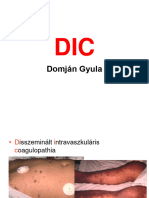 Domján Gyula