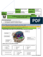 EVALUACION Diag10moCC - NN