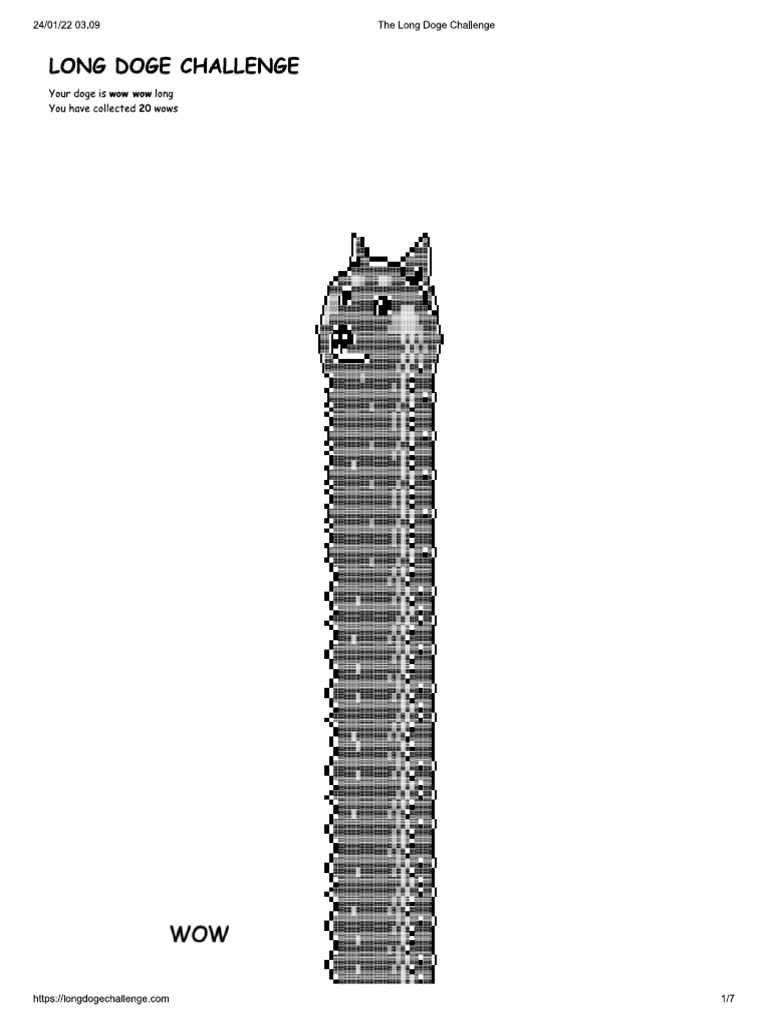 The Long Doge Challenge | PDF