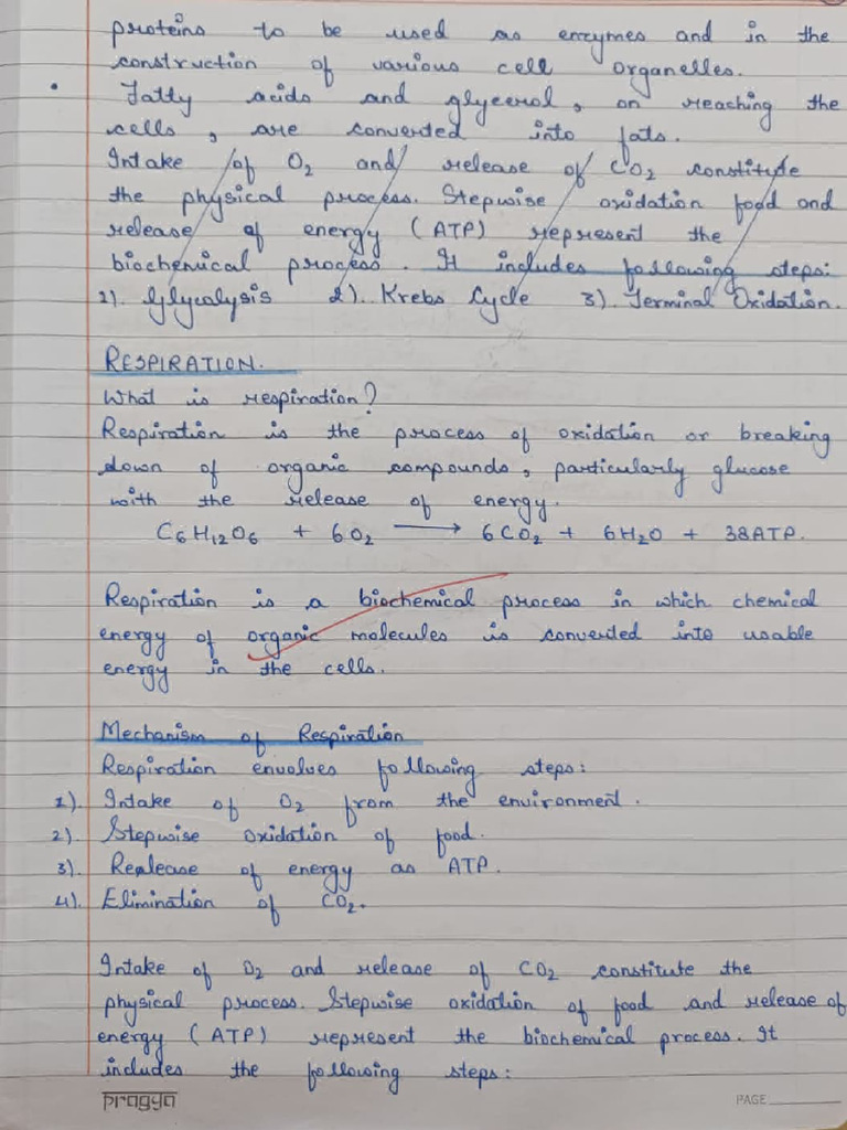 Biology Life Process Notes Pdf