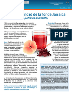 Ficha Flor de Jamaica 2024