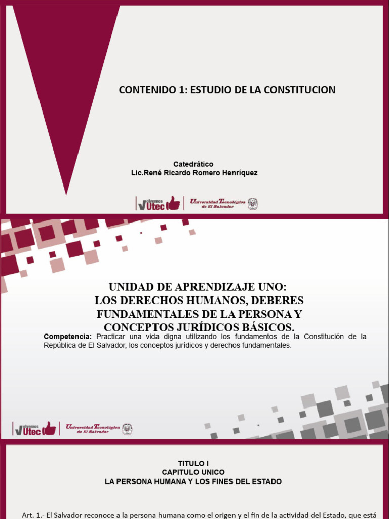 Identificar Los Artículos en La Constitución de La República de El