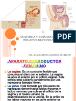 Anatomia y Fisiologia de Los Organos Reproductores