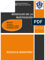 Músculos de La Masticación