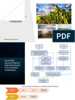 Proceso Producción de Forraje Maíz