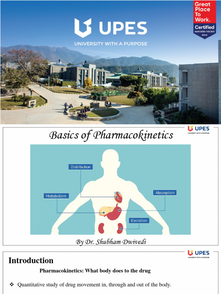 AN INTRODUCTION TO PHARMACOKINETICS visual data 3