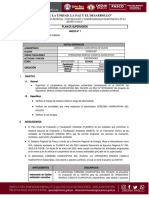 Plan de Supervision 015 - Operadores Mineros Cordova Huaricapcha