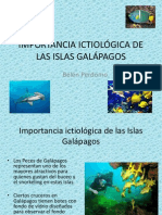 Importancia Ictiológica de Las Islas Galápagos