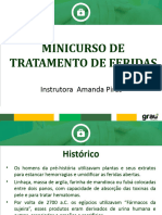 Minicurso Feridas