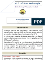 Detection of E - 3BOaRnPSfL