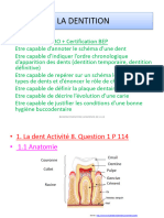 Dentition