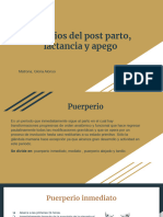 Cambios en El Postparto, Lactancia y Apego - DKEP