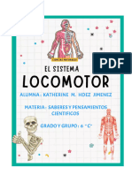 Sistema Locomotor 2